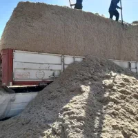 کاه خوارک دام نیشکر تازه یا باگاس|لوازم جانبی حیوانات|قزوین, |دیوار