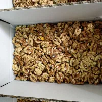 مغز گردو سفید امسالی|حراج|مشهد, کارمندان دوم|دیوار