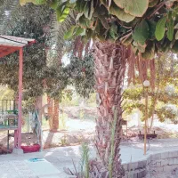 اجاره باغ شبانه روزی|اجارهٔ کوتاهمدت ویلا و باغ|میناب, |دیوار