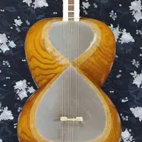 ساز تار ایرانی|سازهای سنتی|جهرم, |دیوار