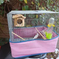 یه جفت فنچ همراه قفس|پرنده|فردیس, شهرک ۱۱۰|دیوار