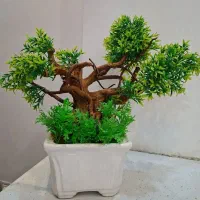 گل مصنوعی|گل مصنوعی|شیراز, صاحب الزمان|دیوار