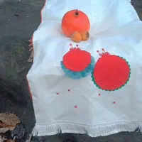 رومیزی یلدایی