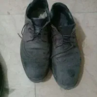کفش و کنانی|کیف، کفش، کمربند|شیراز, رکن‌آباد|دیوار