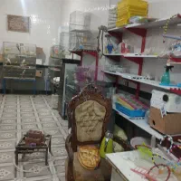 فروش مغازه پرنده فروشی با تمام وسایل