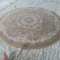 قالی