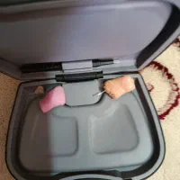 سمعک نوع بلتون نامرعی