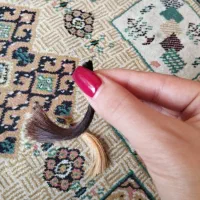 مو طبیعی برای تست دکلره و رنگ|آرایشی، بهداشتی، درمانی|شیراز, آزادگان|دیوار
