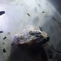 سنگ قیمتی|جواهرات|لاهیجان, حاجی آباد|دیوار