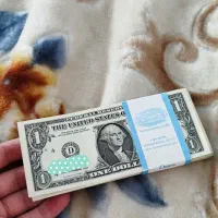 دلار اسکناسی کلکسیونی صد تا یک دلاری