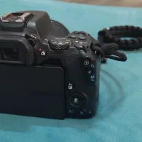 دوربین کانن 250D|دوربین عکاسی و فیلم‌برداری|یزد, |دیوار