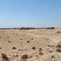 زمین کشاورزی مساحت (۵۵.۸۰۴) خورموج روستای نودرار|فروش زمین و ملک کلنگی|خورموج, |دیوار
