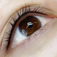 آموزش آرایش دائم (میکروبلیدینگ)با قیمت اقتصادی|خدمات آموزشی|زنجان, |دیوار