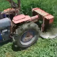علفزن موور دروگر