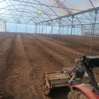 شخم،روتیواتور،چاله کن،تعمیرات تراکتور ۹۵۰|خدمات باغبانی و درختکاری|زنجان, |دیوار