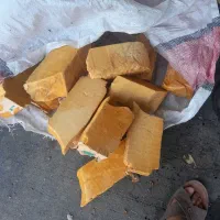 . فیبر گلسازی  دونه ۲۰