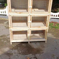 لانه پرنده پران