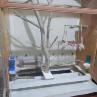 قفس پرنده دست ساز بزرگ|لوازم جانبی حیوانات|اهواز, کوی سعدی|دیوار