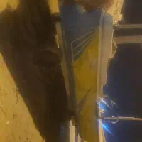 فروش موتور قایق مدل ۲۰۱۴|ماهیگیری|جاسک, |دیوار