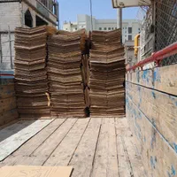 کارتن تخم مرغ|ابزارآلات|مشهد, شیرودی|دیوار