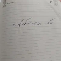 ساک ورزشی گم شده