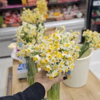 استخدام نیروی خانم و آقا برای مغازه|استخدام خدمات فروشگاه و رستوران|عسلویه, |دیوار