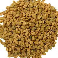 شنبلیله