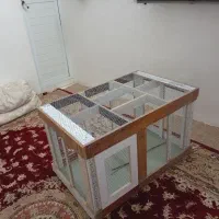 جفت کنی یا به اصطلاح گنجه|لوازم جانبی حیوانات|زابل, |دیوار