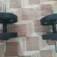 دوعدد دمبل ۱۰ کیلویی مجموعا ۲۰ کیلو مارک رکورد نوو|تجهیزات ورزشی|هشتگرد, هشتگرد قدیم|دیوار