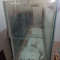 آکواریوم با چهارپایه فلزی|ماهی|کرمان, |دیوار