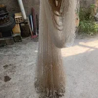 کولی ماشک