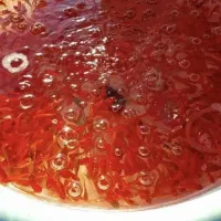 ماهی قرمز حراج عمده|ماهی|قم, علی آباد سعدگان|دیوار