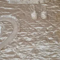 سرویس‌روتختی