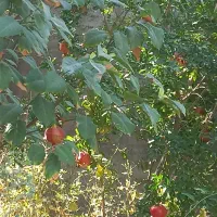 درآمد زائی|فعالیت داوطلبانه|اصفهان, کوی امیریه|دیوار