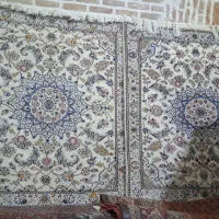 فرش دستبافت ارغوان|فرش|قزوین, |دیوار