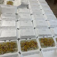 تهیه غذای میلانه با برنج محلی|خدمات پذیرایی، مراسم|گرگان, |دیوار