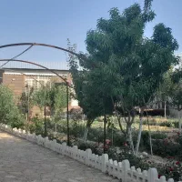 باغ درخت۱۵ساله سند۶دانگ بامجوزساخت معاوضه باماشین|فروش زمین و ملک کلنگی|مشهد, شاهد (شهرک غرب)|دیوار