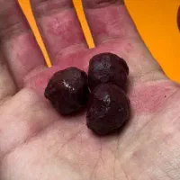 هبهاب خونی هندی(بشرط اصالت)