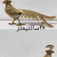 ۲ عدد طاووس برنجی  همراه با جعبه