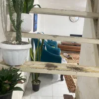 فروش ویلایی 60متری|فروش خانه و ویلا|آستانه اشرفیه, |دیوار