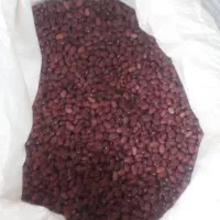 لوبیا عمده|خوردنی و آشامیدنی|تهران, افسریه جنوبی|دیوار