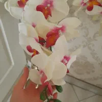 گل وگلدان|گل مصنوعی|اسلام‌شهر, شهرک واوان|دیوار