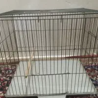 قفس پرنده نو نو