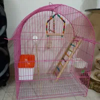 قفس طوطی برزیلی