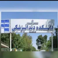 عصب کشی دندان های عقبی با مناسبترین قیمت