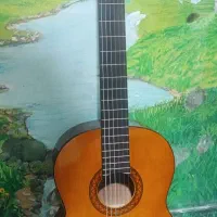 گیتار یاماها C40