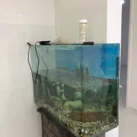 آکواریوم با وسایل