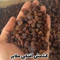 مویز/کشمش/شیره انگور