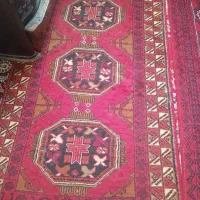 قالی|فرش|باخزر, |دیوار