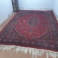 فرش دست باف پشمی|فرش|مشهد, توس (بلوار توس)|دیوار
